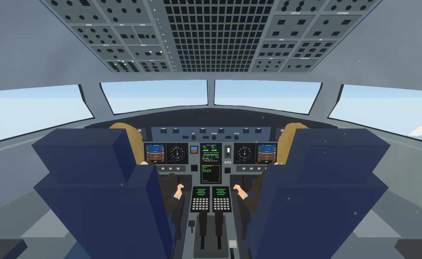 The airliner cockpit